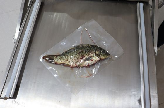 Electric Driven Double Chamber Vacuum Packing Machine for Vegetable Bread Fish and Seafood 120 KG