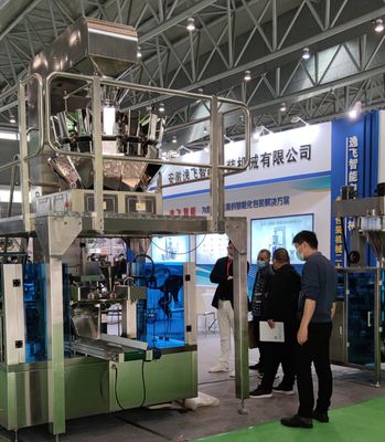 Automatic Feeding System Powder Granule Liquid Packaging Machine for 10g-500g Pouches