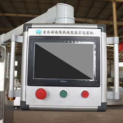 Form Container Frozen Fish Vacuum Thermoforming Machine with Mitsubishi Components