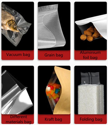 Double Chamber Vacuum Packaging Machinery with 250 KG Capacity and Gas Filling Option