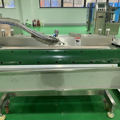 Customizable Seal Width Stainless Steel Vacuum Packing Machine for Cheese and Seafood