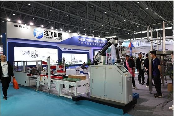 Fully Automatic Carton Erector Packer Line Design with Palletizing Speed 8-12Pcs/Min