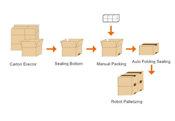 IP65 Packaging Line with Case Carton Bag Box Erector Folding Sealer Palletizer System