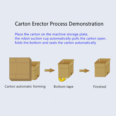 Fully Semi-Automatic High Speed Carton Case Erector For Carron Box