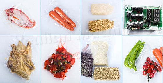 Single Chamber Vacuum Packing Machine for Food 58*63*92cm Size Easy to Operate