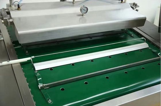 Advanced Vacuum Conveyor Belt Packaging Machine for Meat Cheese and Whole Chicken