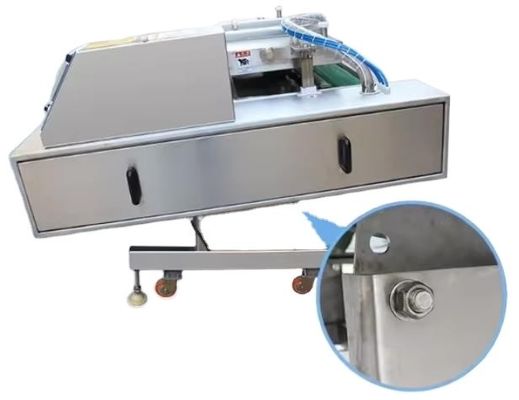 Advanced Vacuum Conveyor Belt Packaging Machine for Meat Cheese and Whole Chicken