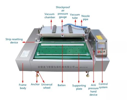 Plastic Packaging Needs Food Vacuum Sealer with Continuous Rotating Rolling Belt Type