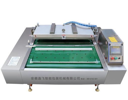 Continuous Belt Type Roll Vacuum Packaging Machine for Dried Shrimp and Smoked Salmon