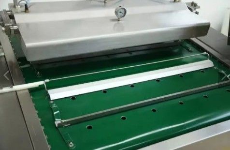 Continuous Belt Type Roll Vacuum Packaging Machine for Dried Shrimp and Smoked Salmon