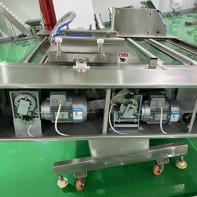 Continuous Belt Type Roll Vacuum Packaging Machine for Dried Shrimp and Smoked Salmon