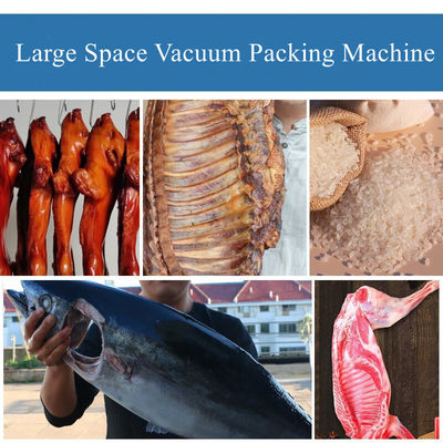 DZ-400/2L Vacuum Sealer for Meat Chicken Seafood Fish Rice Sea fish Leg of Lamb Packaging