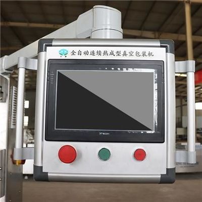 4800*850*2000mm Automatic Thermoforming Vacuum Packing Machine for Cheese Products